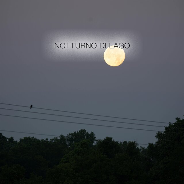 Notturno di lago