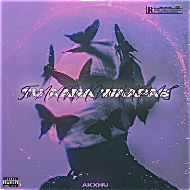 Tu Aana Waapas
