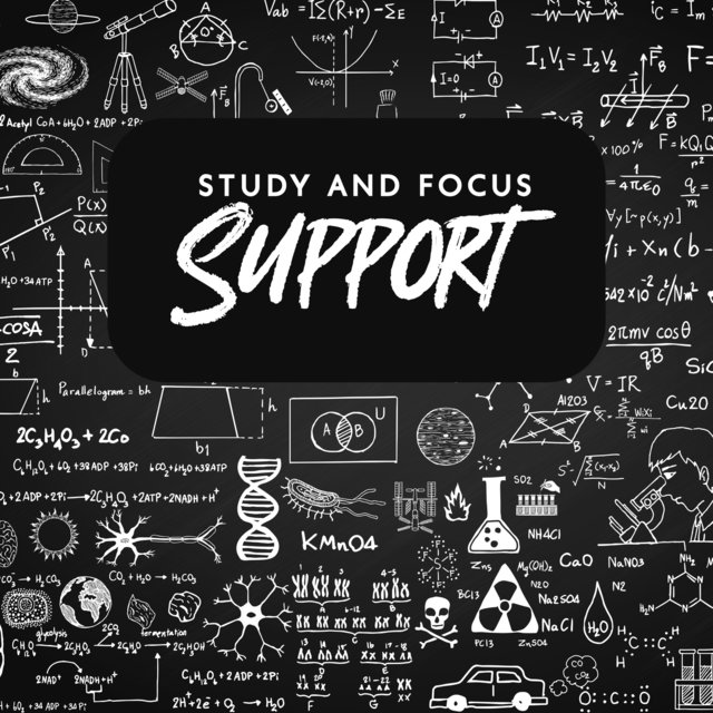 Study and Focus Support: New Age Music to Improve Your Cognitive Brain Functions