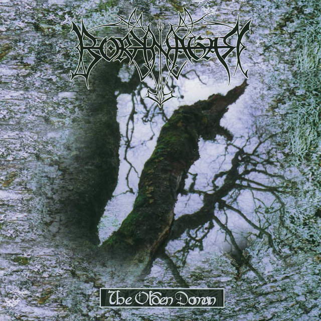 Cover art for album The Olden Domain by Borknagar