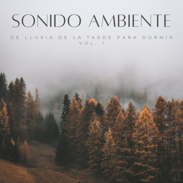 Sonido Ambiente De Lluvia De La Tarde Para Dormir Vol. 1