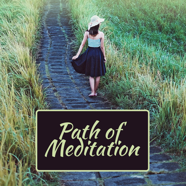 Path of Meditation (Healing Melodies for Mindfulness Training and Yoga Exercises, Zen Buddhist Meditation Contemplation)
