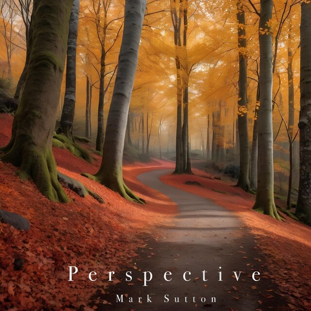Perspective