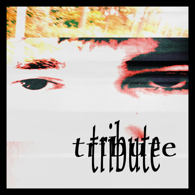 tribute