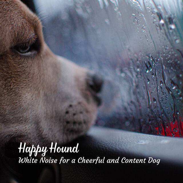 Happy Hound: White Noise for a Cheerful and Content Dog