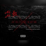 SOMETHING WRONG