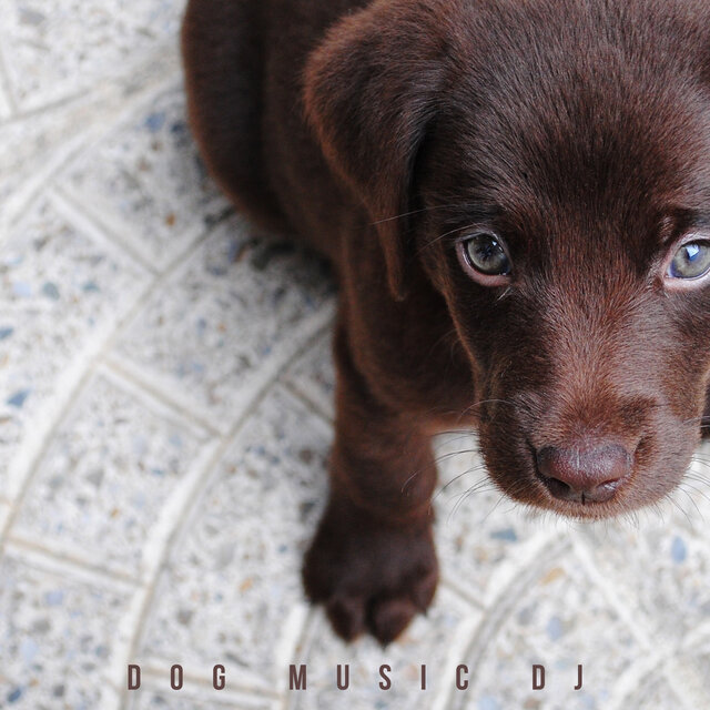 Puppy Songs