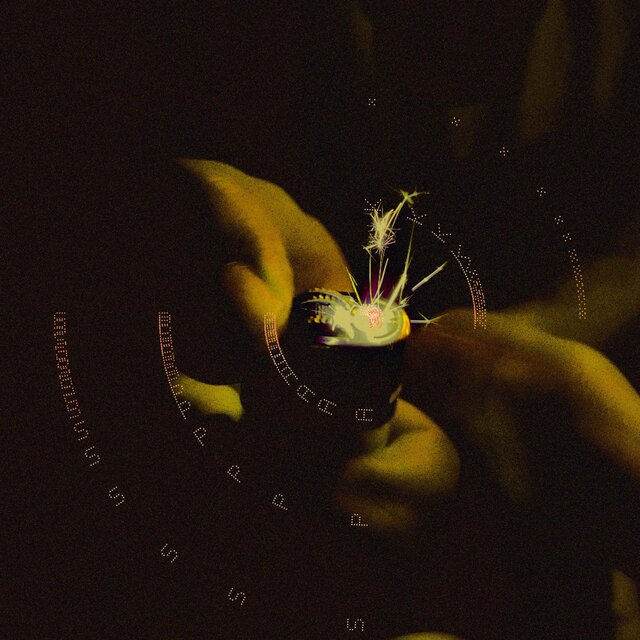 spark*