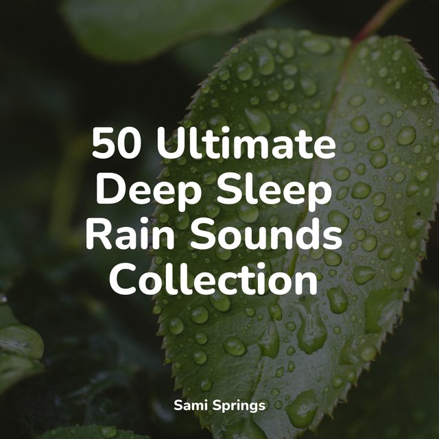 50 Ultimate Deep Sleep Rain Sounds Collection by Brain Study Music Guys ...