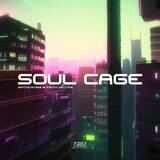 Soul Cage