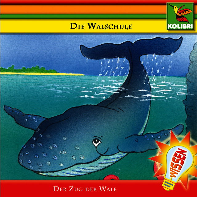 Die Walschule - Der Zug der Wale