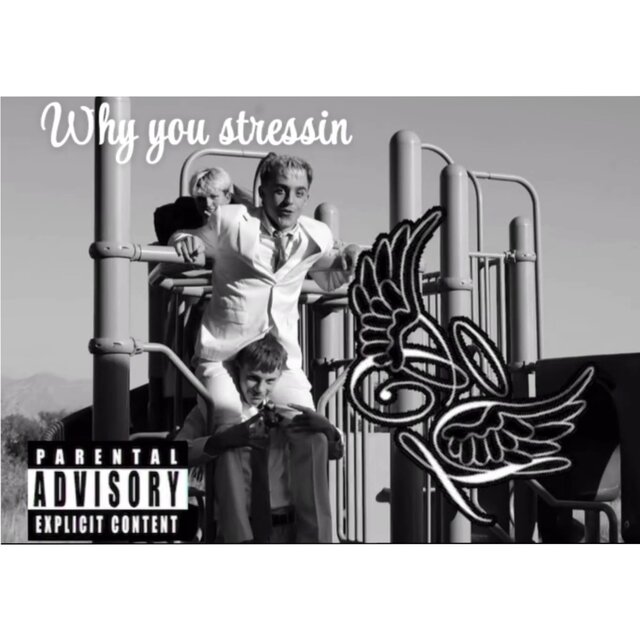 WHY YOU STRESSIN