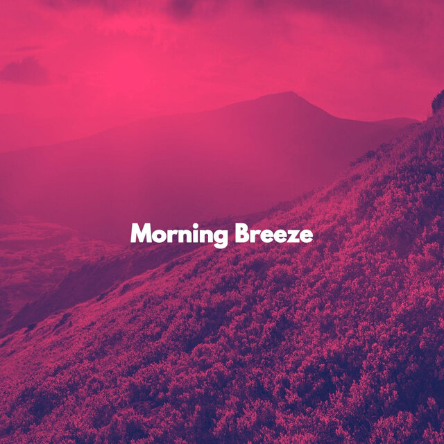 Morning Breeze
