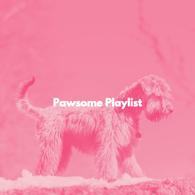Pawsome Playlist