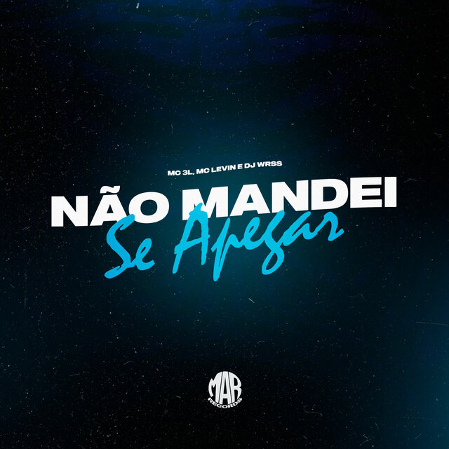 Não Mandei Se Apegar