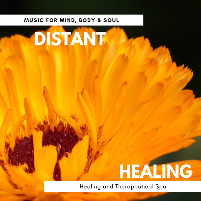 Distant Healing - Music For Mind, Body & Soul Healing And Therapeutical Spa