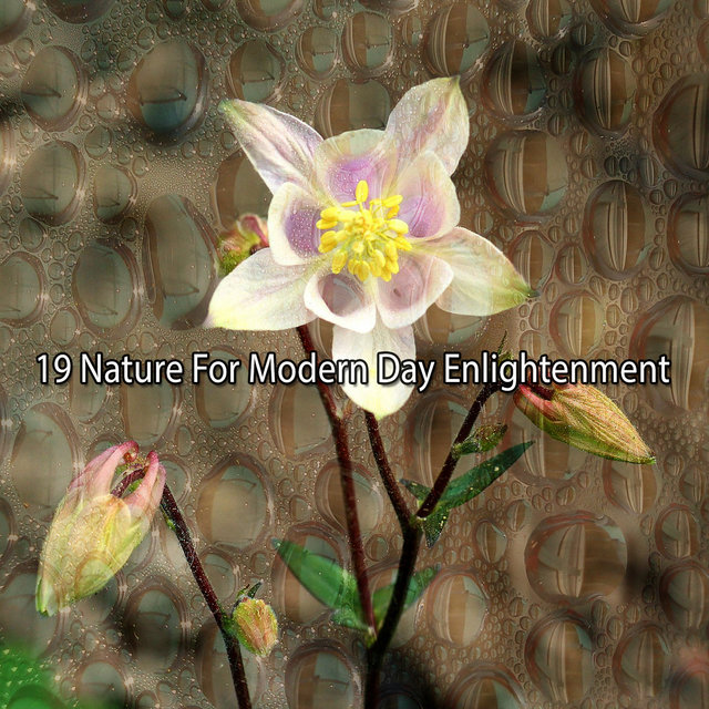 19 Nature For Modern Day Enlightenment