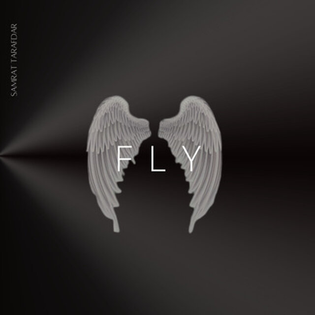 Fly