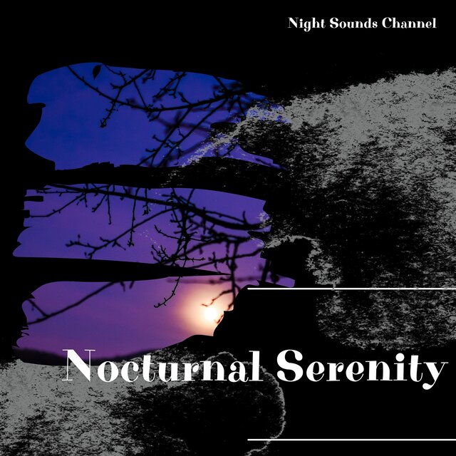 Nocturnal Serenity: Tranquil Nightscapes
