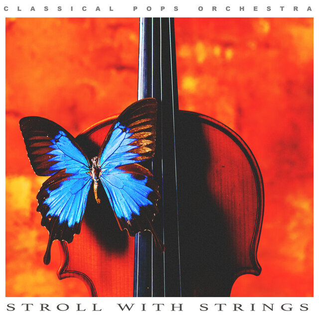Stroll with Strings