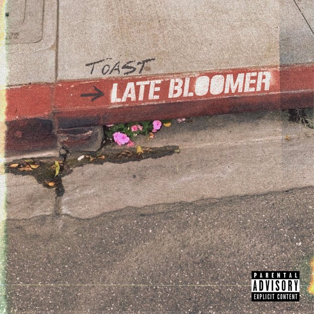 Late Bloomer