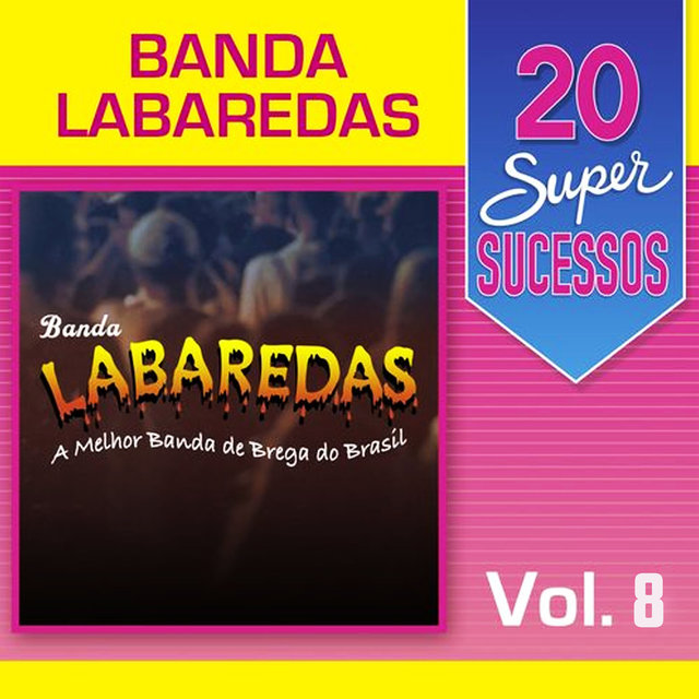 20 Super Sucessos, Vol. 8