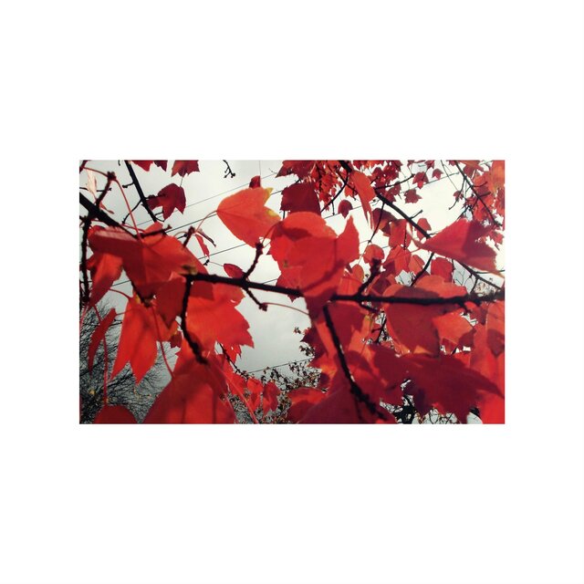 F​ū​rin