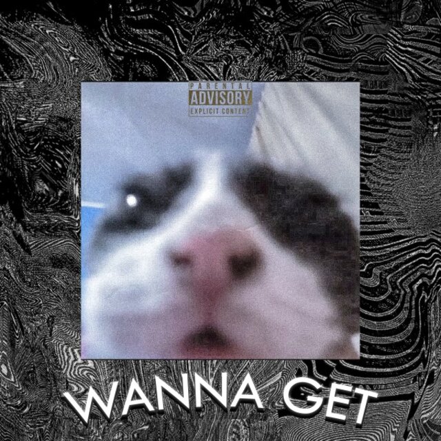 Wanna Get