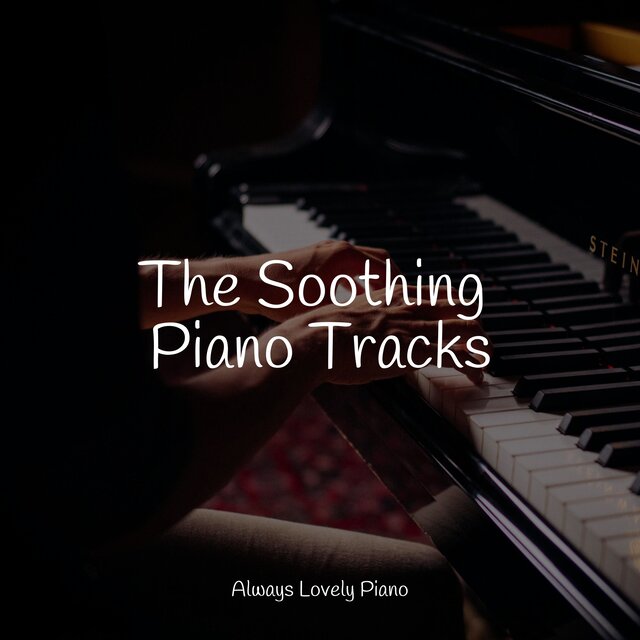 50 Comforting Sounds for Work and Focused Study Sessions