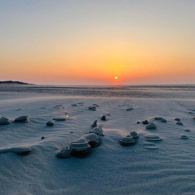 VLIELAND MODULAR