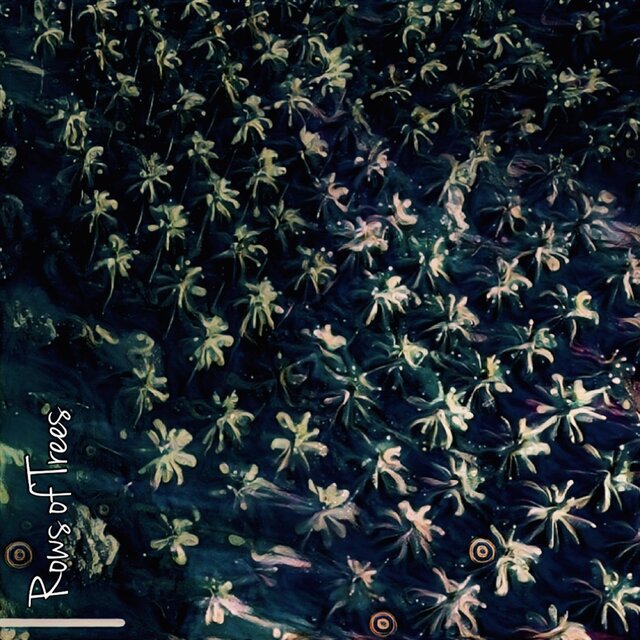 Rows of Trees