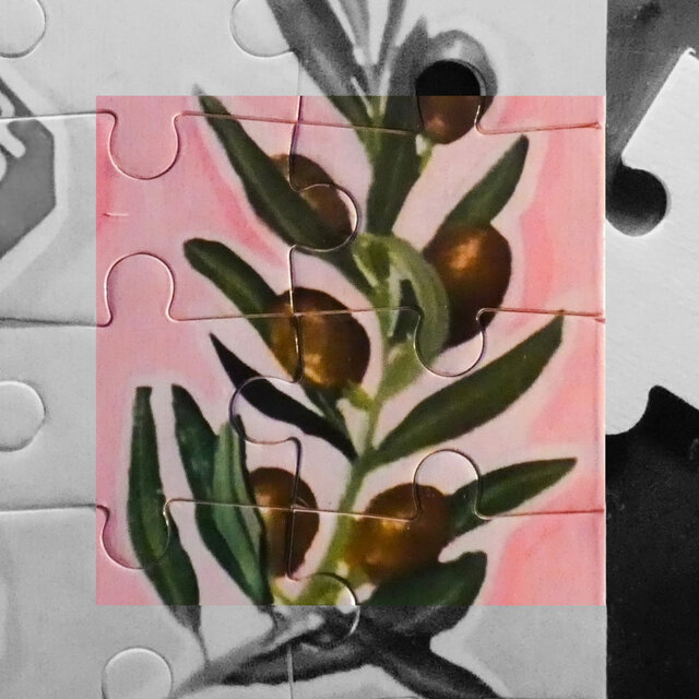 Cover art for album Olive by The Hazys