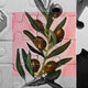 Cover art for album Olive by The Hazys