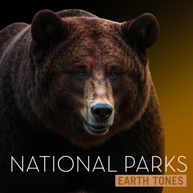Earth Tones: National Parks