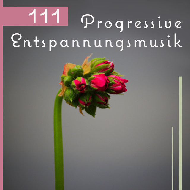 111 Progressive Entspannungsmusik - Beste entspannende Melodien für Schlaf, Yoga Übungen, Autogenes Training und Massage