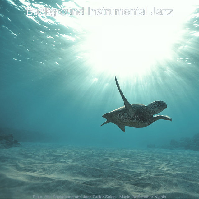 Flute, Alto Saxophone and Jazz Guitar Solos - Music for Summer Nights