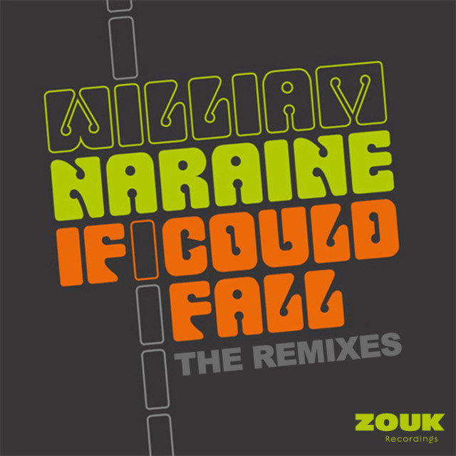 If I Could Fall (The Remixes)