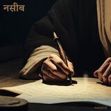 NASEEB