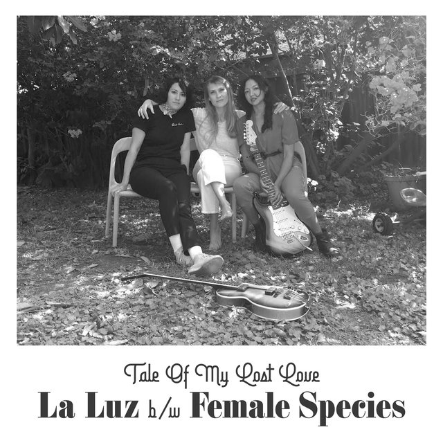Cover art for album Tale Of My Lost Love by La Luz, Female Species