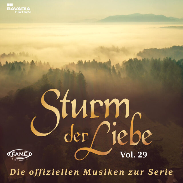 Die offiziellen Musiken zur Serie Vol.29
