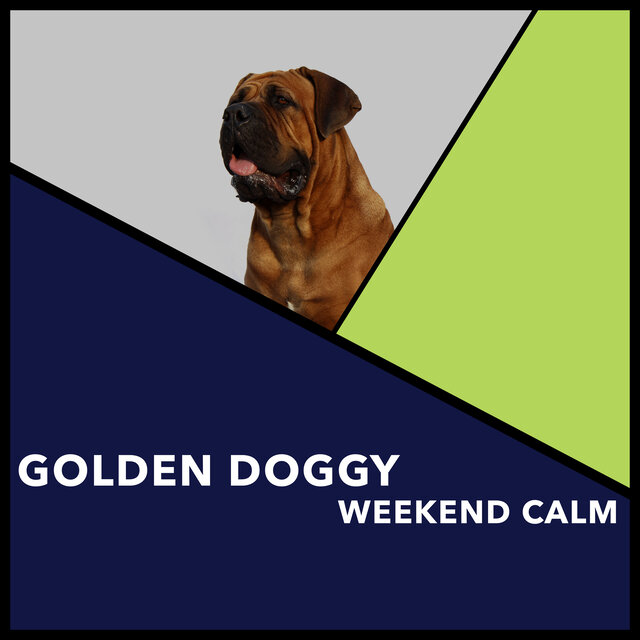 Golden Doggy Weekend Calm
