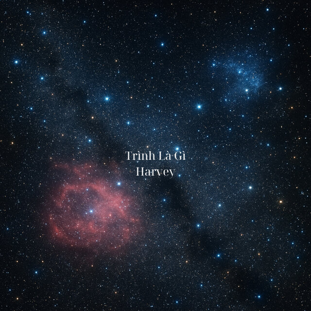 Trình Là Gì