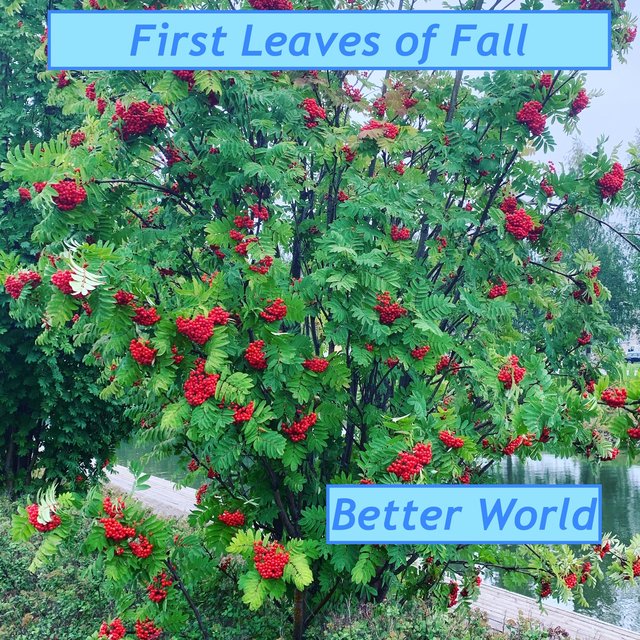 Better World