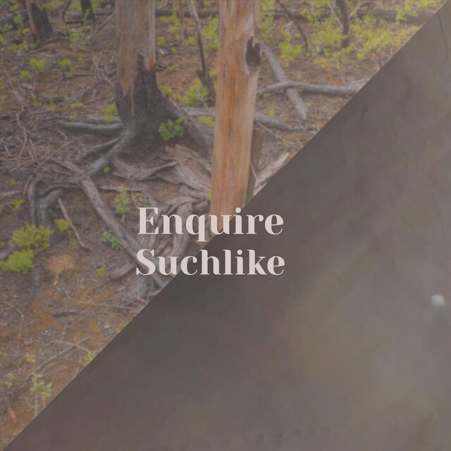 Enquire Suchlike