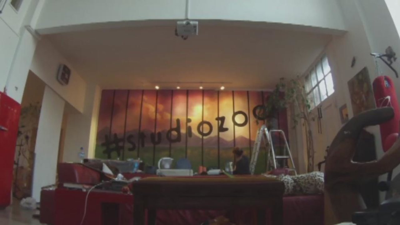 #StudioZoo Highlights - Painting The Zoo