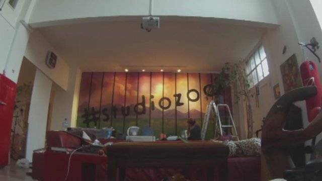 #StudioZoo Highlights - Painting The Zoo