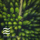 Sounds of Calm Raining