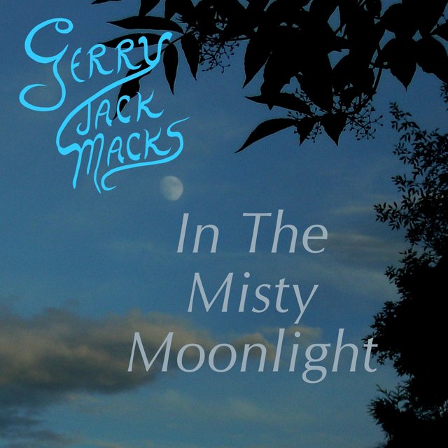 In the Misty Moonlight