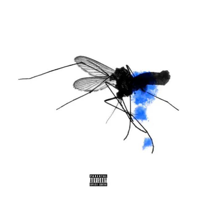 need love (feat. Zaxckso)