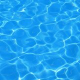 Something in The Water